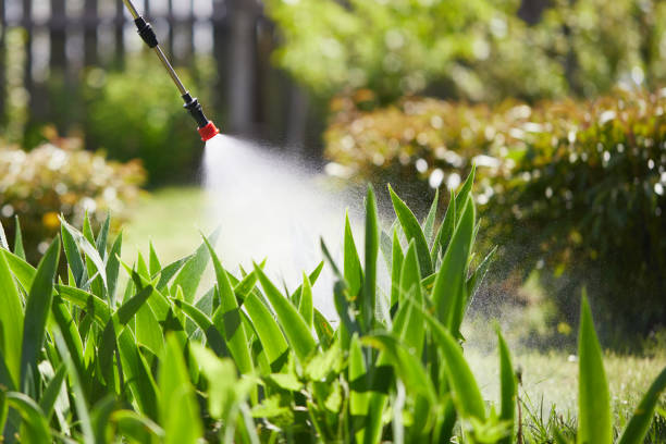 Tamper-Resistant Bait Stations for Rodents in Franklin