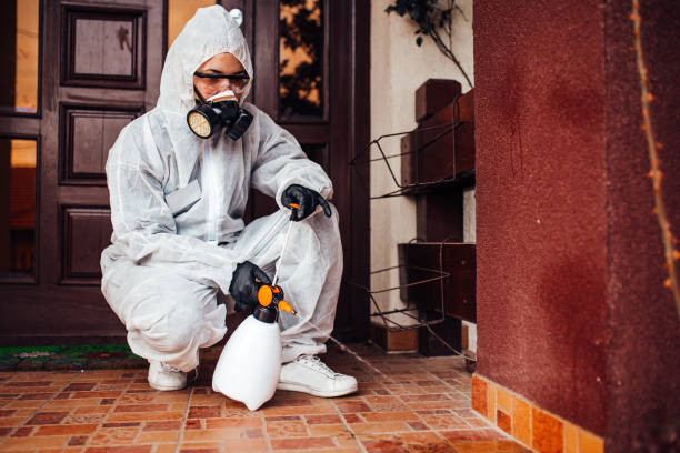 Attic and Crawl Space Rodent Treatment in Franklin