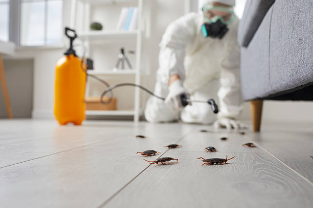 Commercial Rodent Management in Franklin